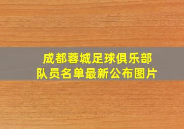 成都蓉城足球俱乐部队员名单最新公布图片