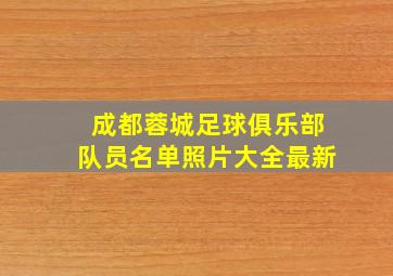 成都蓉城足球俱乐部队员名单照片大全最新