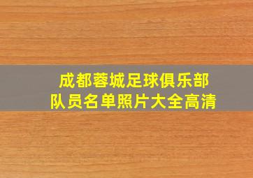 成都蓉城足球俱乐部队员名单照片大全高清