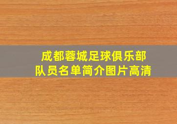 成都蓉城足球俱乐部队员名单简介图片高清