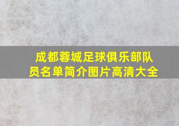 成都蓉城足球俱乐部队员名单简介图片高清大全