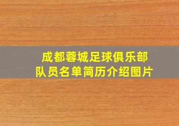 成都蓉城足球俱乐部队员名单简历介绍图片