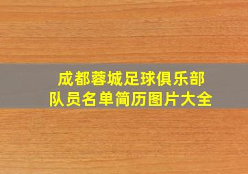 成都蓉城足球俱乐部队员名单简历图片大全