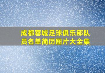 成都蓉城足球俱乐部队员名单简历图片大全集