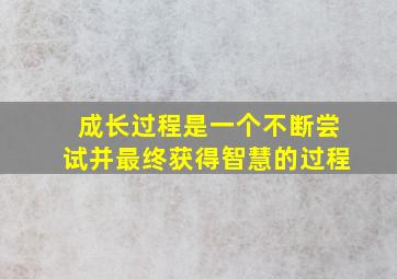 成长过程是一个不断尝试并最终获得智慧的过程