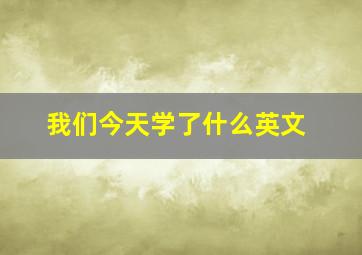 我们今天学了什么英文