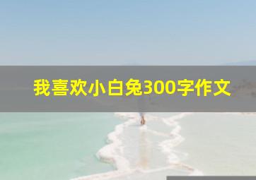 我喜欢小白兔300字作文