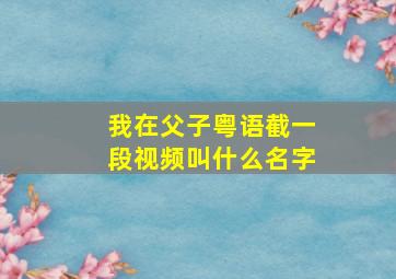 我在父子粤语截一段视频叫什么名字