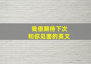 我很期待下次和你见面的英文