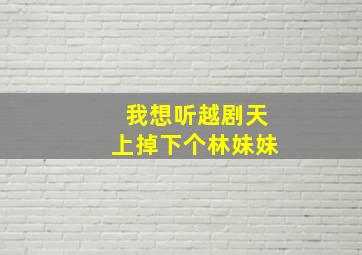 我想听越剧天上掉下个林妹妹