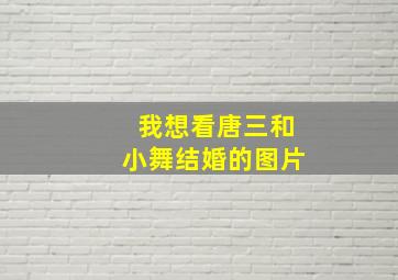 我想看唐三和小舞结婚的图片