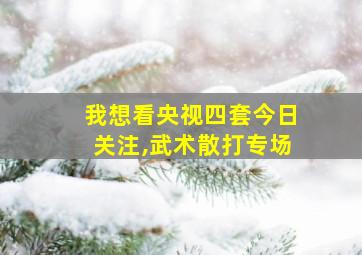 我想看央视四套今日关注,武术散打专场