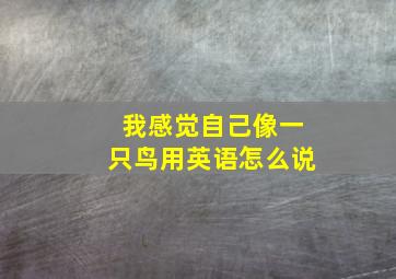 我感觉自己像一只鸟用英语怎么说