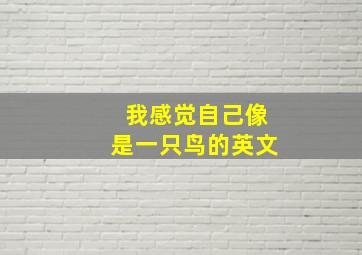 我感觉自己像是一只鸟的英文