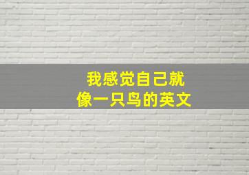 我感觉自己就像一只鸟的英文