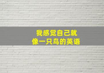 我感觉自己就像一只鸟的英语