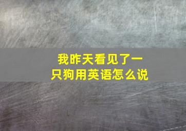 我昨天看见了一只狗用英语怎么说