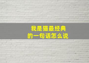 我是猫最经典的一句话怎么说