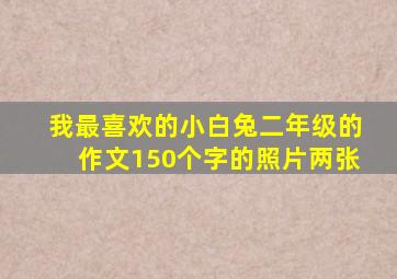 我最喜欢的小白兔二年级的作文150个字的照片两张