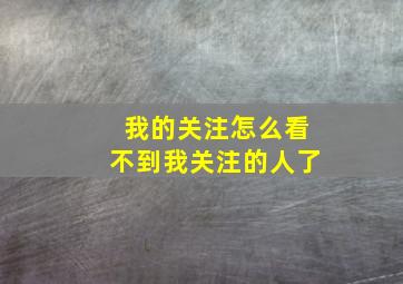 我的关注怎么看不到我关注的人了