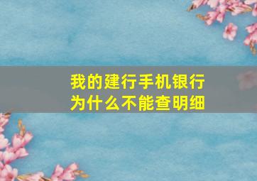 我的建行手机银行为什么不能查明细