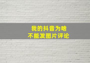 我的抖音为啥不能发图片评论