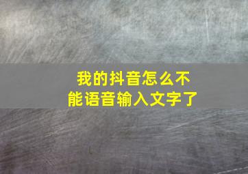 我的抖音怎么不能语音输入文字了