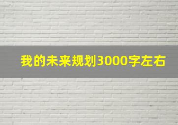 我的未来规划3000字左右