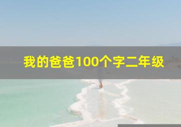 我的爸爸100个字二年级