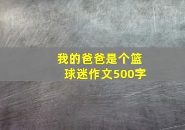 我的爸爸是个篮球迷作文500字