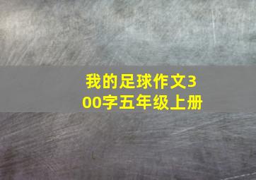 我的足球作文300字五年级上册