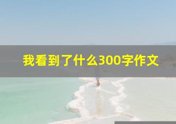 我看到了什么300字作文