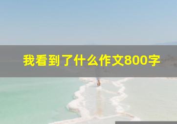 我看到了什么作文800字