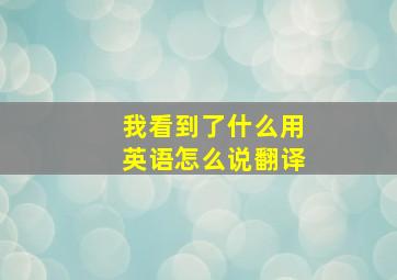 我看到了什么用英语怎么说翻译