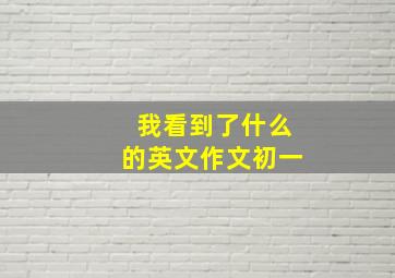 我看到了什么的英文作文初一