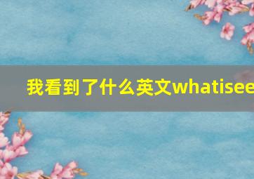 我看到了什么英文whatisee