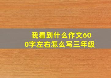 我看到什么作文600字左右怎么写三年级