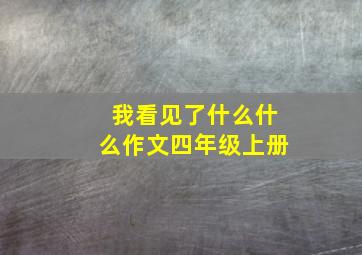 我看见了什么什么作文四年级上册