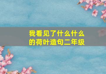 我看见了什么什么的荷叶造句二年级