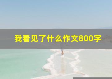 我看见了什么作文800字