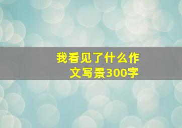 我看见了什么作文写景300字