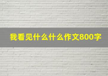 我看见什么什么作文800字