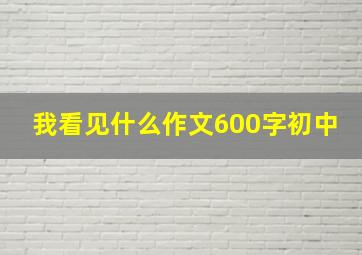 我看见什么作文600字初中