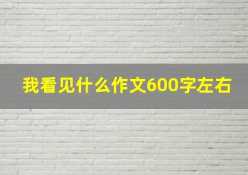 我看见什么作文600字左右