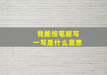 我能按笔顺写一写是什么意思