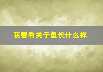 我要看关于鱼长什么样