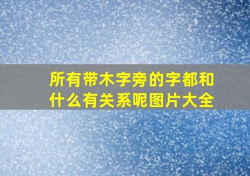 所有带木字旁的字都和什么有关系呢图片大全