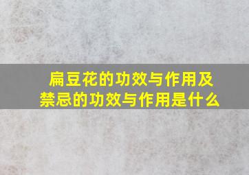 扁豆花的功效与作用及禁忌的功效与作用是什么