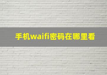 手机waifi密码在哪里看