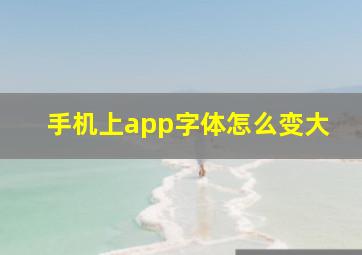 手机上app字体怎么变大